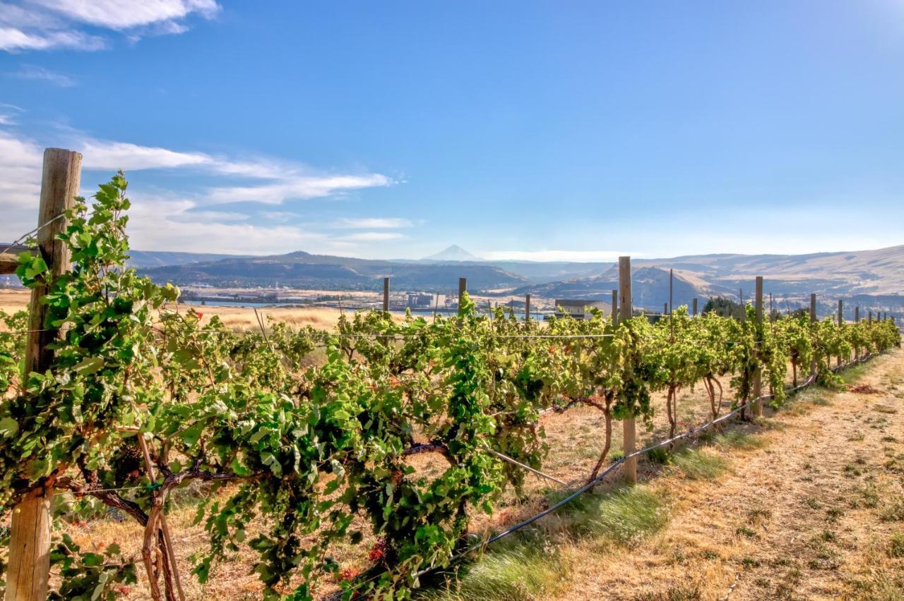 Grapevine Lodge Dallesport Zewnętrze zdjęcie